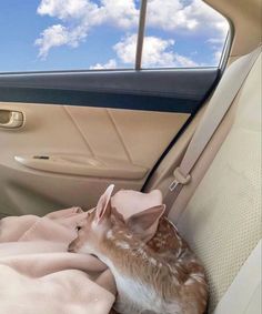 a baby deer is sitting in the back seat of a car