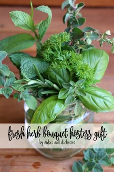 fresh herb bouquet boss's gift in a glass vase with greenery on the side