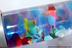 colorful fish in a plastic container with water