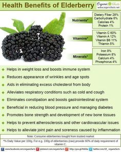 Benefits Of Elderberry, Allergies Remedies, Tomato Nutrition, Matcha Benefits, Coconut Health Benefits, Digestion Process, Natural Antibiotics