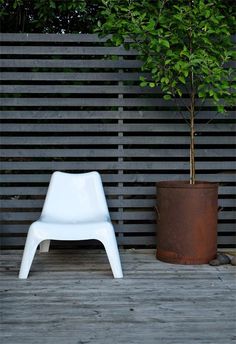 a white chair sitting next to a potted tree