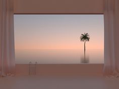 a palm tree sitting in the middle of an empty room with curtains on either side