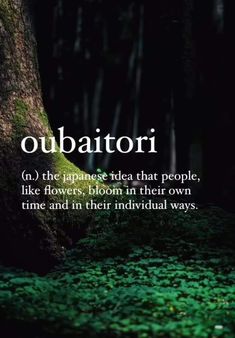 the words obbattorii are in front of a mossy forest with trees