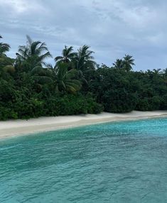 the water is crystal blue and clear with white sand in front of palm trees on either side