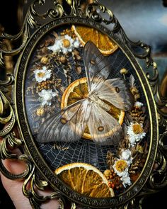 a close up of a person holding a clock with oranges and butterflies on it