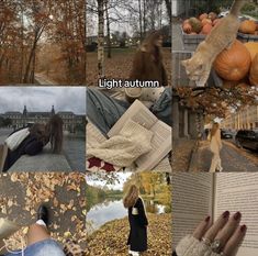 a collage of photos with autumn and fall leaves in the foreground, an image of a woman reading