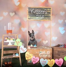 a small dog sitting on top of a wooden crate next to two crates filled with hearts