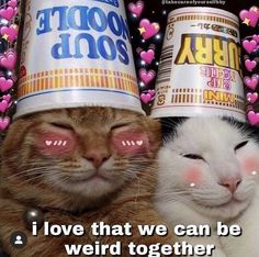 two cats wearing party hats with caption i love that we can be weird together