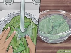 a person washing leaves in a sink next to a faucet with soap on it