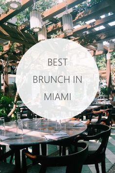 the best brunch in miami