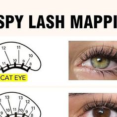 🏆Luxury Lashes Manufacturer on Instagram: "Wispy Lash Mapping 😍 Will you try it?💕Comment below✨

.
.
.
.
.
.
.
.
.
.
.
.
.
.
.
.
.
.
.
#lashes #lashextensions #volumelashes #eyelashextensions #eyelashes #lashartist  #lashtech #classiclashes #lashlove 
#lashesfordays #hybridlashes #eyelash #classiclashes #wispylashes  #mmlashes #premadelashfans #premadefans #easyfan #rapidfans #eyelashextensionsupplies #easyfanlashes #easyvolumelashes #volumelash  #lashmap #lashmapping#kolybellashofficial" Wispy Lash Mapping, Lash Mapping, Luxury Lashes, Try It