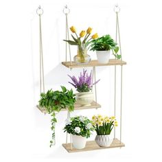 three tiered shelves with plants and flowers on them