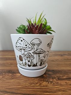 a potted plant sitting on top of a wooden table