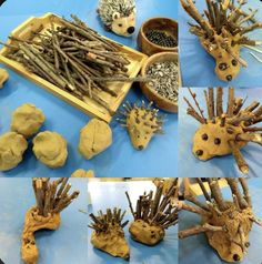 several pictures of different types of hedgehogs made out of wood sticks and twigs