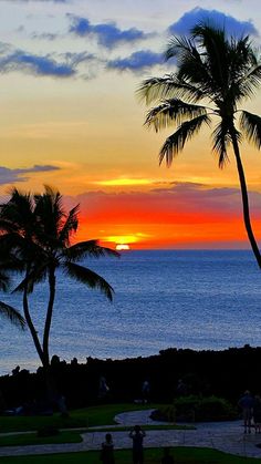 the sun is setting over the ocean and palm trees are silhouetted against the sky