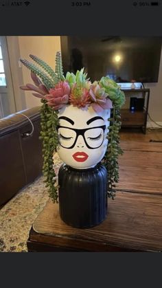 a vase with succulents on top of it in the shape of a face