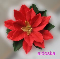 a red poinsettia with green leaves on it's head and the words aldoska above it