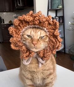 an orange cat wearing a crocheted hat on top of a table