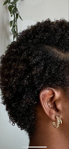 Big Chop Short Hair, Short Curly Haircuts 4c Hair, Short Fro Styles 4c, Twists On Twa Natural Hair, Jelly Curls Hairstyles, Short Hair With Curls For Black Women, Type 4 Short Hair, Short Afro Hair Color Ideas