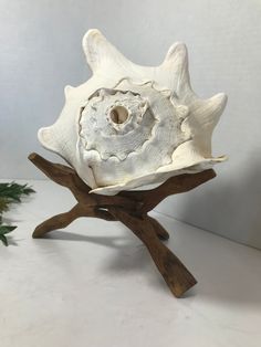 a white sea shell sitting on top of a wooden stand