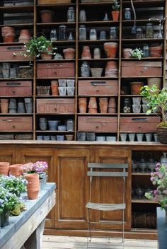 many pots and plants are sitting on shelves