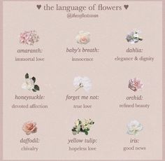 the language of flowers is shown in pink and white with different types of flowers on it