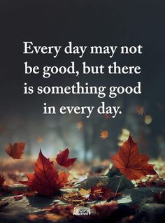 fall leaves on the ground with a quote about every day may not be good, but there is something good in every day