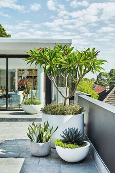 two planters on the roof of a house