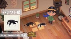 an aerial view of a living room with cats and dogs on the hardwood flooring