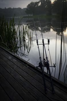 two fishing rods sitting on the end of a dock next to water and reeds