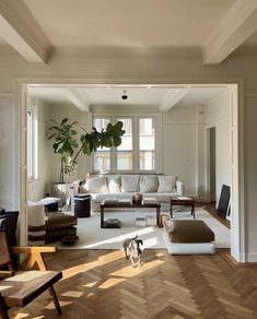 a living room filled with furniture and a dog walking in the middle of the room