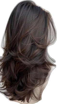 Modern Layered Haircuts, Old Money Hairstyles, Layered Haircuts For Long Hair, Interview Hairstyles, Hairstyles Female, Preppy Hairstyles, Long Face Shapes