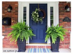 two potted plants sit on the front porch of a house with blue door and white trim