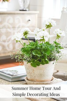 a potted plant sitting on top of a table next to a book and magazines