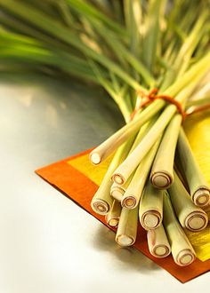 a bunch of bamboo sticks tied together on top of a piece of paper next to a plant