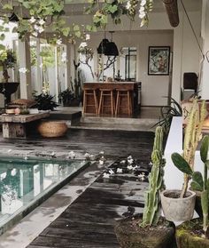 an indoor swimming pool surrounded by plants and potted cacti on the deck