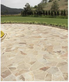 a circular stone patio with yellow flowers in the center and green hills in the background