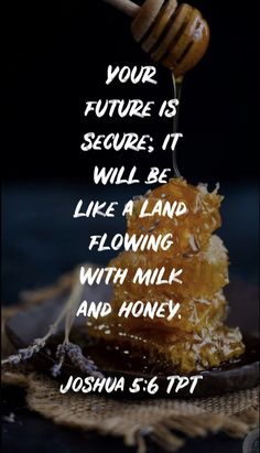 a piece of honey sitting on top of a plate with a quote from joshua s 6 17