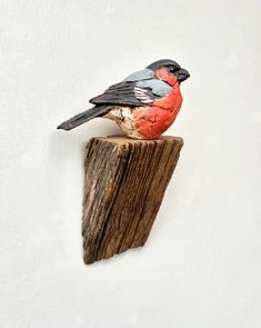 a small bird sitting on top of a piece of wood with white wall behind it