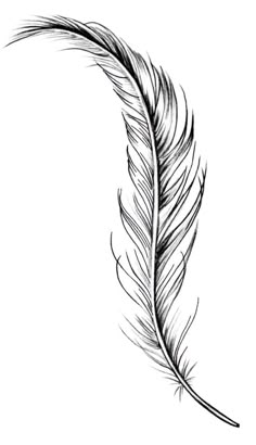 a black and white drawing of a feather