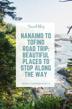 the ocean and trees with text overlay that reads travel blog namamo to road trip beautiful places to stop along the way