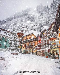 a snow covered street with houses and trees