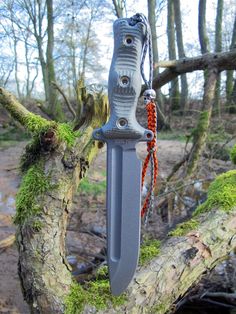 a knife is hanging from a tree branch