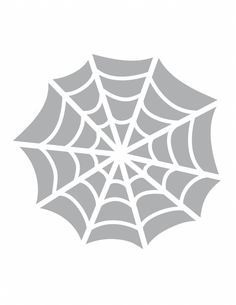 a spider web on a white background