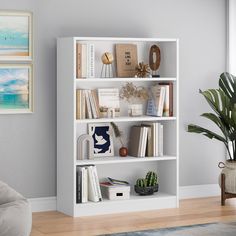 a living room with a white book shelf and potted plant on the far wall