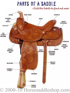 the parts of a horse saddle