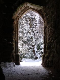 an open stone archway with snow on the ground and trees in the background at night