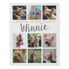 a book with pictures of dogs and words that say, forever in our hearts winner