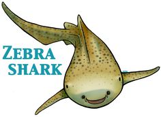 a drawing of a smiling shark with the words zebra shark on it's back