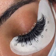 Eyelash Extension Map, Eyelash Technician, Eyelash Extensions Styles